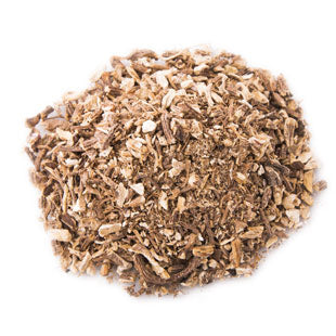 Angelica Root