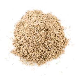 Dill Seeds