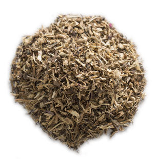 Echinacea Root