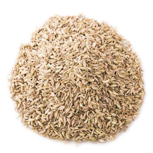 Fennel Seeds