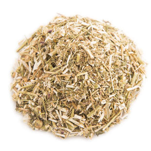 Feverfew Herb Cut
