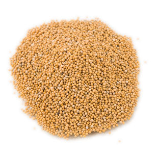 Mustard Seeds